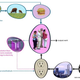 Image for article titled Fluxxlab Revolution Door is Eco-Friendly, People-Powered Power Station